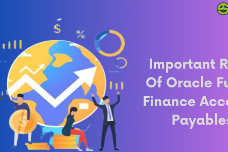 oracle fusion finance accounts payables important roles