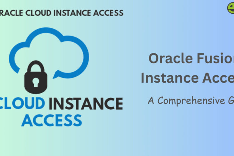Oracle Fusion Instance Access