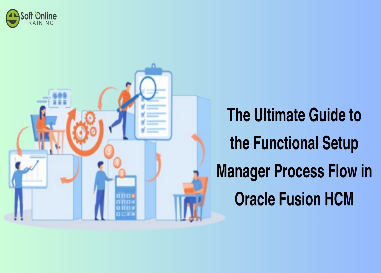 Functional Setup Manager Process Flow